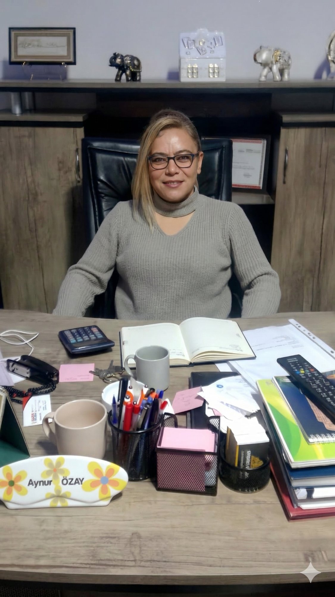 Aynur Özay