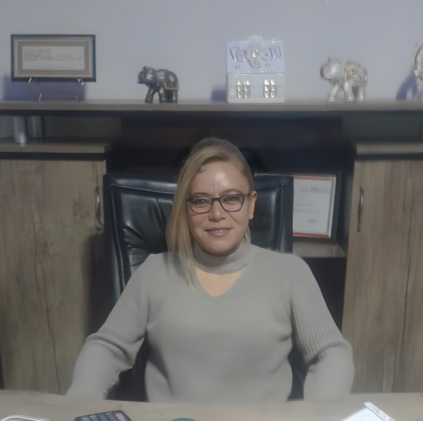 Aynur Özay